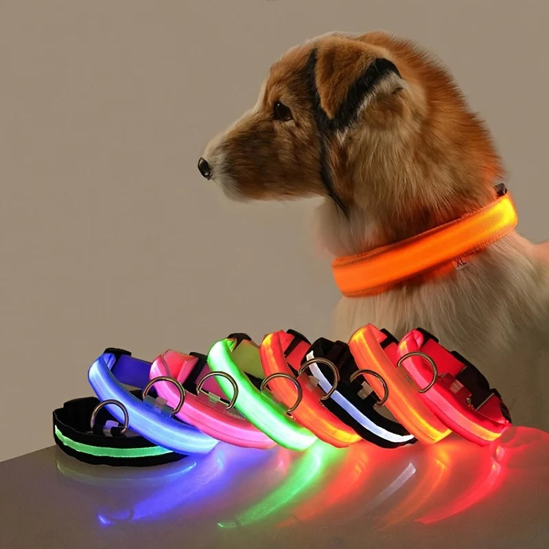 Coleira LED para Cães - Visibilidade e Segurança em Todas as Horas