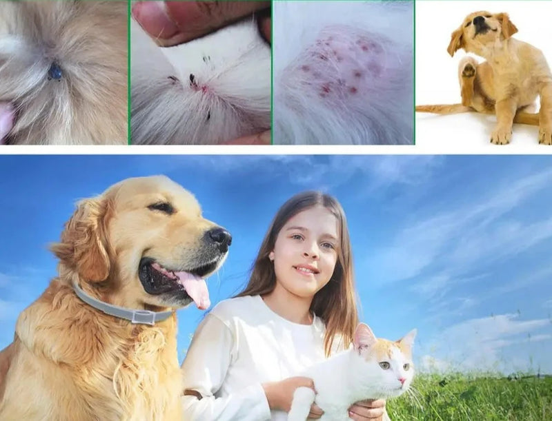 Coleira Antipulgas e Carrapatos para Cães e Gatos