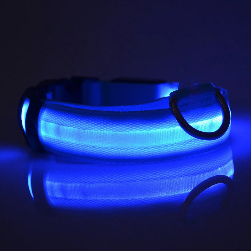 Coleira LED para Cães - Visibilidade e Segurança em Todas as Horas